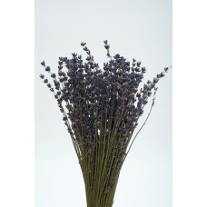 LAVENDER ENGLISH  Natural 11'-15"